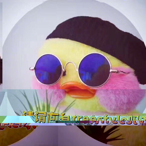 美女秀场 赵丽颖清新自拍自带freestyle表情3