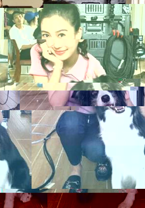 美女秀场baby微笑托腮与汪星人开心合照1